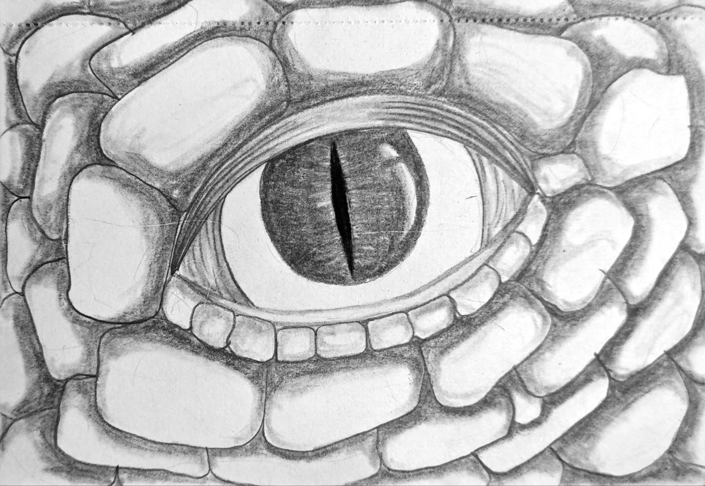 Sketches 04 - Otherworldly, artwork 5 by Abhijith