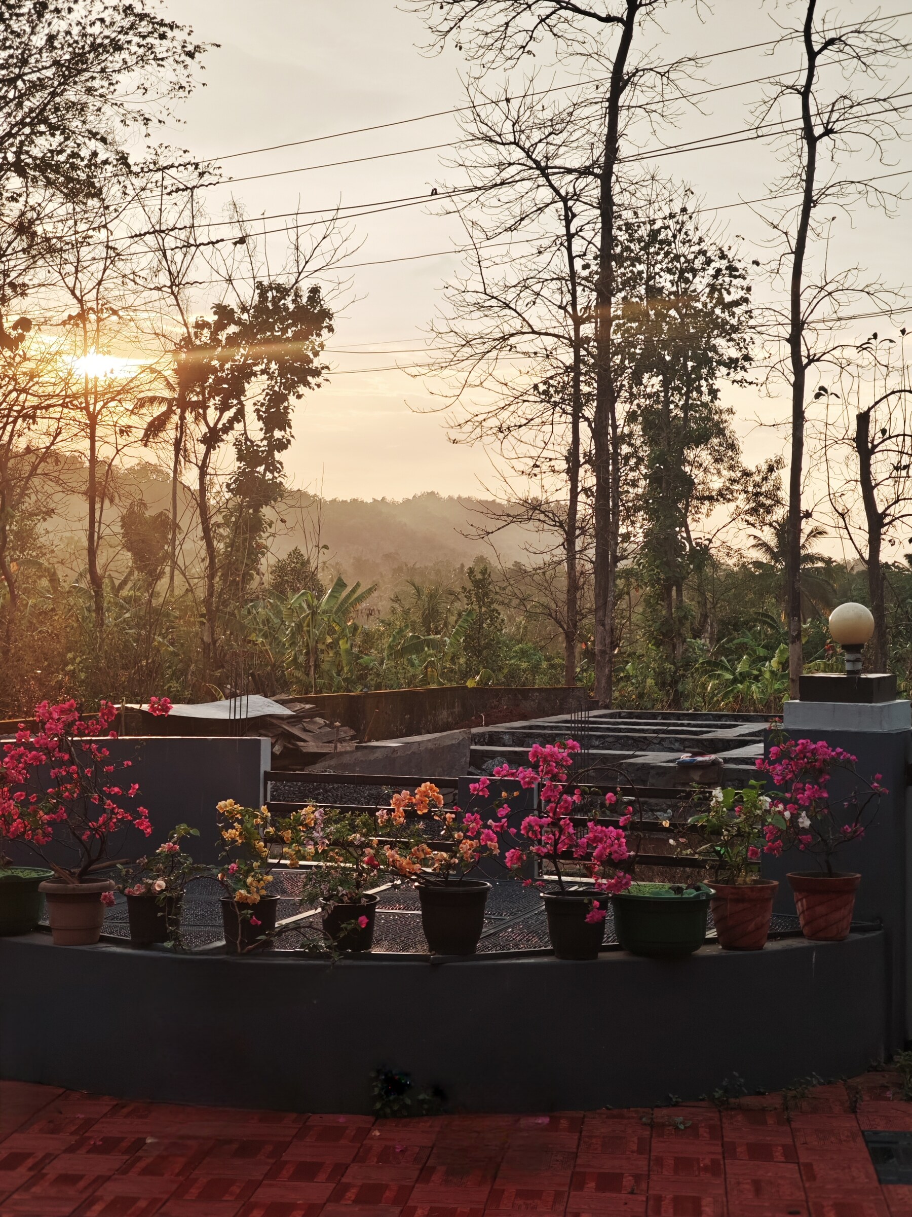 Nature & Atmosphere, photograph 2 by Abhijith