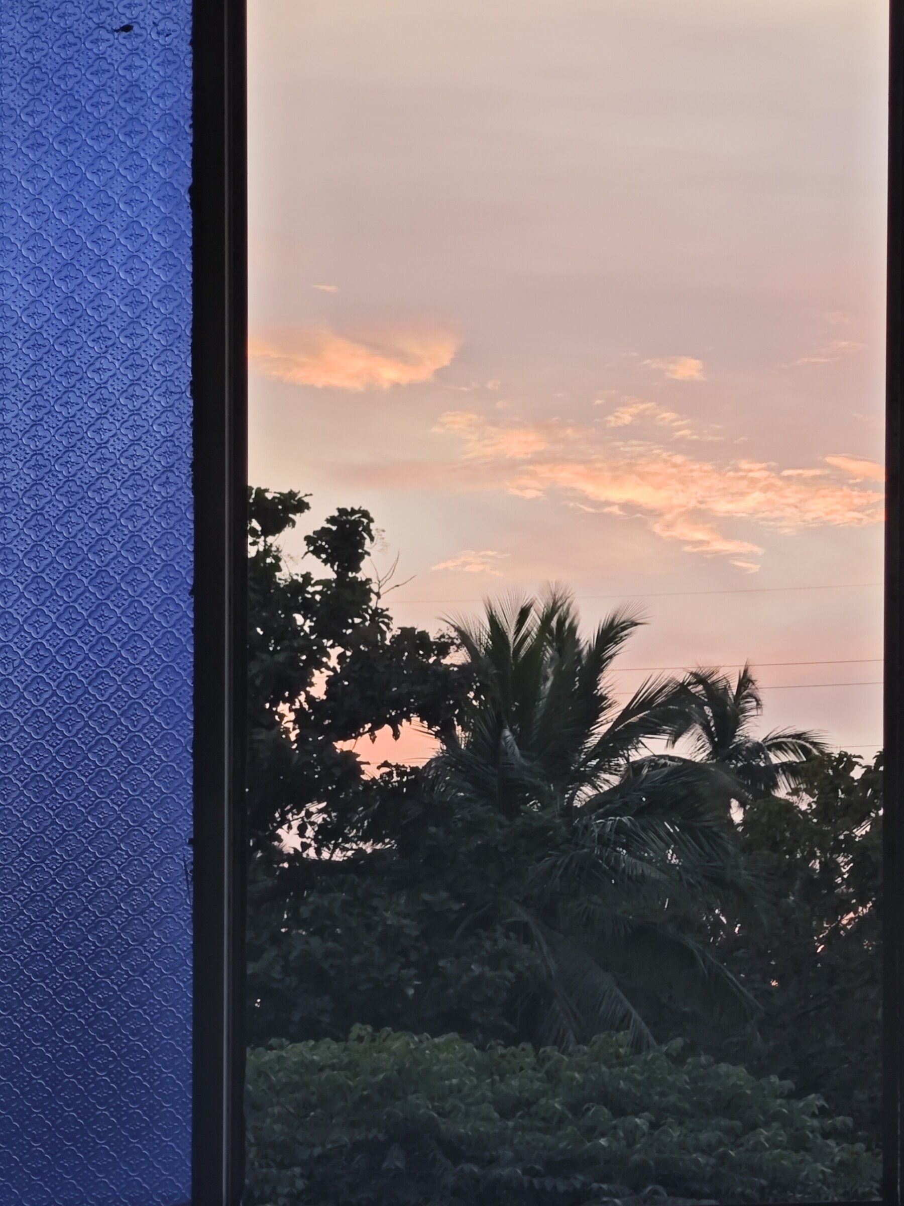 Nature & Atmosphere, photograph 4 by Abhijith