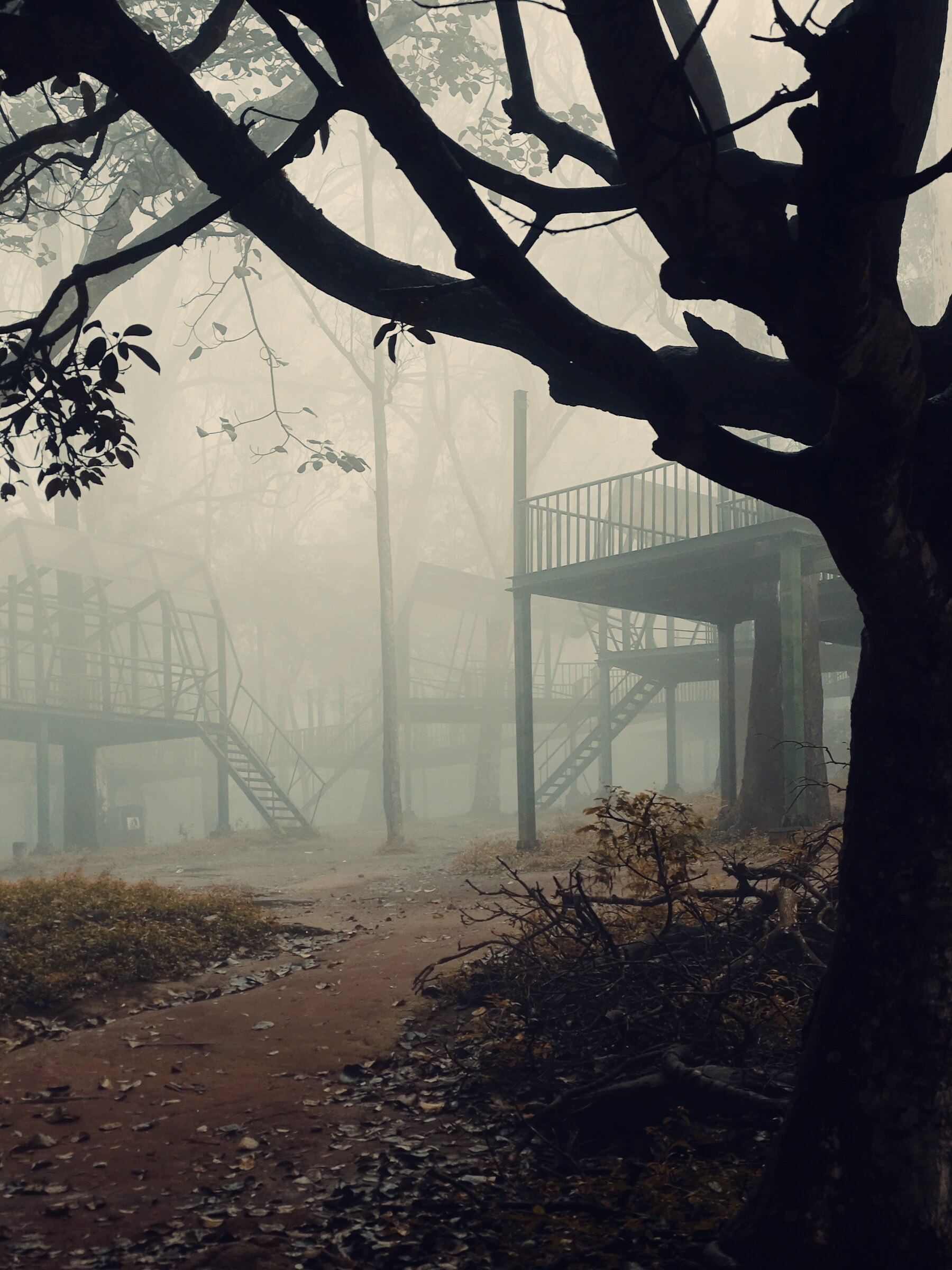 Nature & Atmosphere, photograph 5 by Abhijith