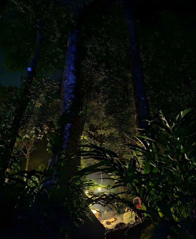 Jungle Creek project preview